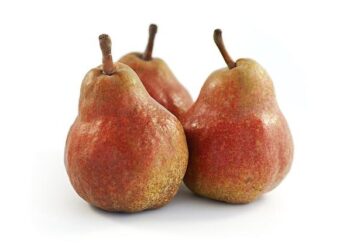 Unlocking New Opportunities: TUI Group and Bartlett Set Their Sights on Expanding Jamaica’s Influence in Latin America and Eastern Europe