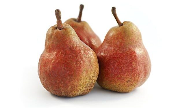 Unlocking New Opportunities: TUI Group and Bartlett Set Their Sights on Expanding Jamaica’s Influence in Latin America and Eastern Europe