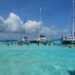Cayman Islands Sets Ambitious Goal to Cut $68.7 Million in Imports by Boosting Local Production!