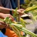 Farming for Change: How Farmers Are Shaping Democracy and Our Future