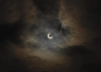 Total Halts Offshore Oil Drilling in French Guiana: Implications for the Future of Energy