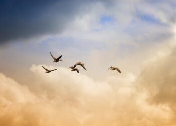 Argentina’s Bold New Era: How Milei is Unleashing the Power of Freedom