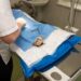 Revealing America’s Hidden Legacy: The Shocking Truth Behind Unwanted Sterilization and Eugenics