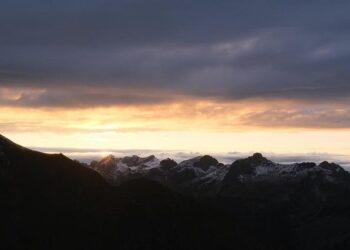 Unexpected Alliances: The Shocking Political Shift at Trump’s Summit