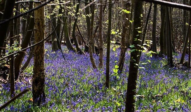 Logan Blake Steps Up as President of Bermuda Operations at RGA!