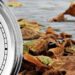 Discover the Intriguing Origins of Daylight Saving Time!