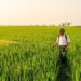 Unearthing the Dark Legacy: The Haunting Impact of a Banned Pesticide in the French Caribbean