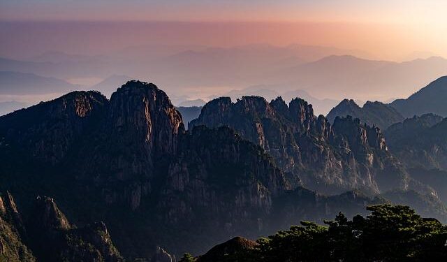 Can China Save the Day? Tackling the Beetle Invasion in South America!