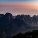 Can China Save the Day? Tackling the Beetle Invasion in South America!