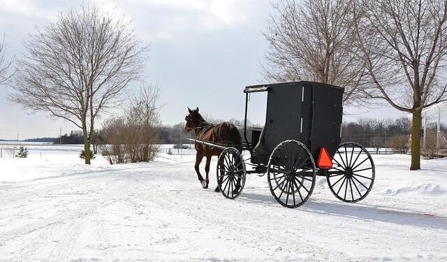 Deforestation Fears Grow as Mennonites Announce Bold New Settlement Plans in Suriname