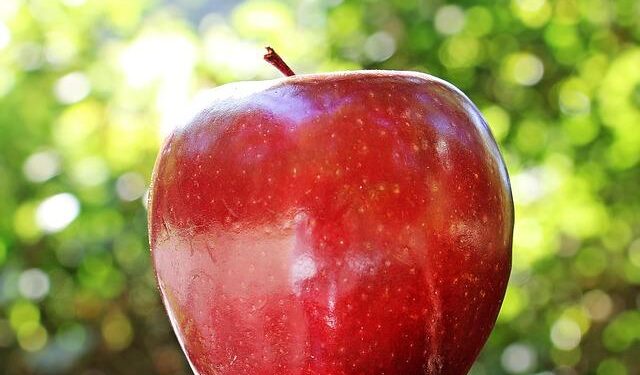 Apple’s Game-Changing Pledge: Over $500 Billion Investment in the U.S. Within Four Years!