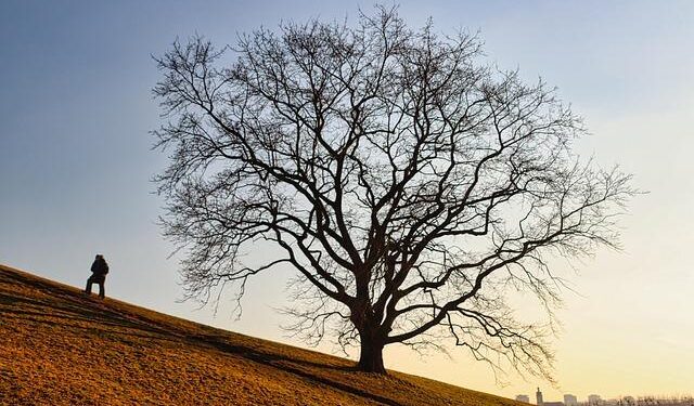 Unleashing Potential: The Inspiring Journey of a Special Olympics Jamaica Athlete and Coach