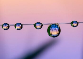 Marco Rubio to Join CARICOM Leaders at Exciting Summit in St. Kitts and Nevis!