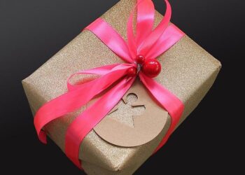 Building a Safer Future: Skerrit Applauds $3M U.S. Investment in Dominica’s Disaster Resilience