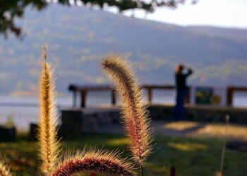 Uncover Fort Smith’s Hidden Treasures: An Adventure Through Nature and History