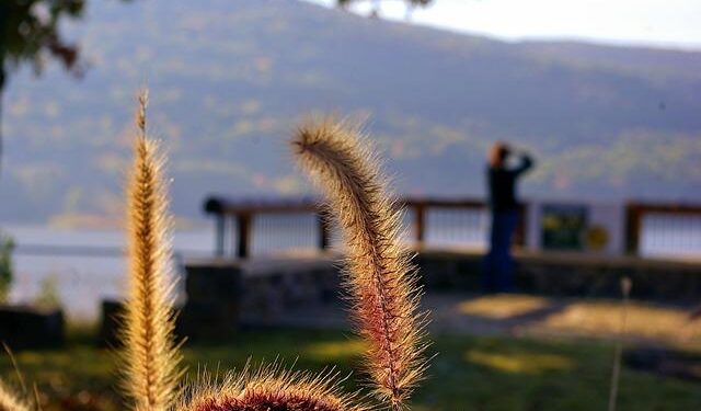 Uncover Fort Smith’s Hidden Treasures: An Adventure Through Nature and History
