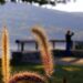 Uncover Fort Smith’s Hidden Treasures: An Adventure Through Nature and History