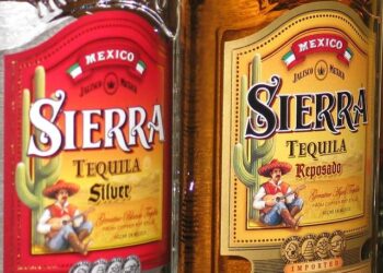 Mexico’s Vibrant Nightlife: Discover 11 Bars That Made North America’s Top 50!