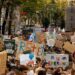 Empowering Change: How Cross-Sector Collaboration Can Drive Climate Action for a Sustainable Future