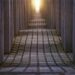 From Survivor to Victim: A Disturbing Assault on a Holocaust Hero in America