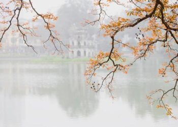 Shifting Tides: How the Rightward Turn in Peru, Colombia, and Brazil is Reshaping U.S. Influence in Latin America