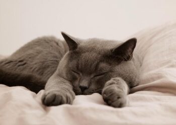 Discover the Shocking British Outpost That Holds More US Debt Than China!