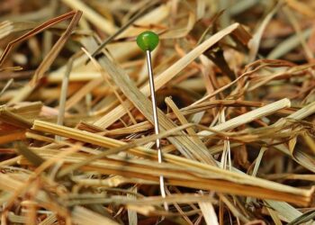 Discover Your Next Winter Escape: Porter Airlines Launches Direct Routes to Aruba, Montego Bay, San José, and Los Cabos!