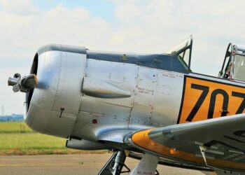 Unearthing the Untold Legacy: The Impact of Antigua’s Slavery History on Harvard’s Educational Partnership