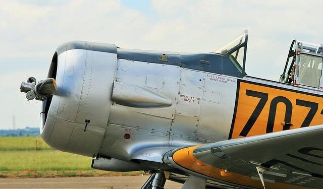 Unearthing the Untold Legacy: The Impact of Antigua’s Slavery History on Harvard’s Educational Partnership