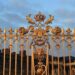 Embark on an Epic Journey: Discover the Heart of Latin America with Leo XIV in Peru and Argentina!