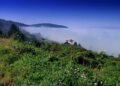Emergency Warning: Deadly Virus Outbreaks and Wildfires Endanger America’s Beloved National Park!
