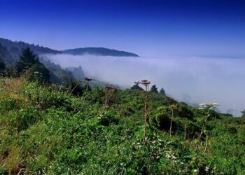 Emergency Warning: Deadly Virus Outbreaks and Wildfires Endanger America’s Beloved National Park!