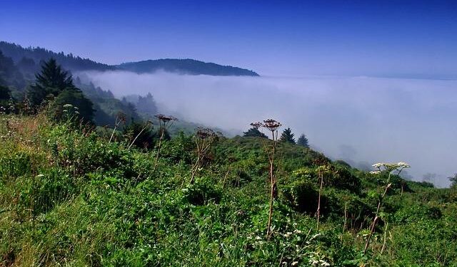 Emergency Warning: Deadly Virus Outbreaks and Wildfires Endanger America’s Beloved National Park!