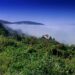 Emergency Warning: Deadly Virus Outbreaks and Wildfires Endanger America’s Beloved National Park!