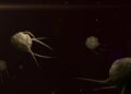 Urgent Warning: Deadly Superbug Fungus Expands Its Reach to 28 States, Alabama Among Them!