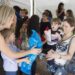 Devastating Loss: Colorado Charity’s $28K Donation Disappears in Platform Bankruptcy