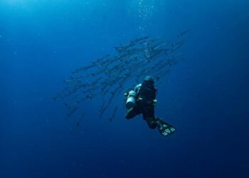 Is America’s Underwater Dominance in Jeopardy?