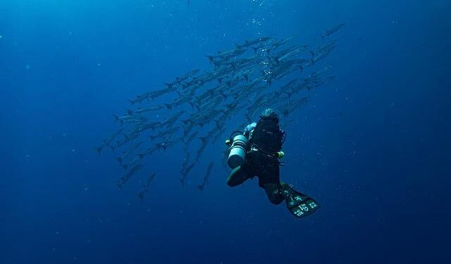 Is America’s Underwater Dominance in Jeopardy?