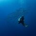 Is America’s Underwater Dominance in Jeopardy?