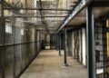 France’s Bold Decision: The Controversial Maximum-Security Prison in French Guiana Ignites Local Fury