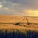 Transforming Agriculture: How Digital Sensors are Empowering Farmers in Antigua and Barbuda