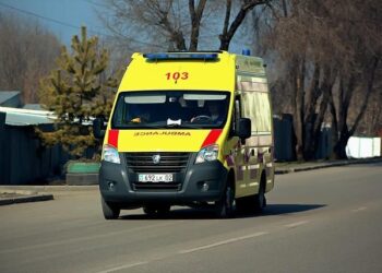 Ten Years of Transformation: Celebrating the Impact of the EMT Initiative in the Americas