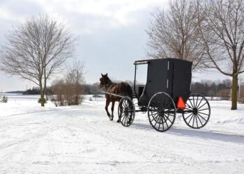 Suriname on Edge: Mennonites Set Their Sights on Forest Settlement