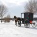 Suriname on Edge: Mennonites Set Their Sights on Forest Settlement