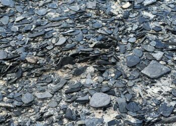 Argentina’s Shale Revolution: A Game Changer for South America’s Energy Future