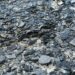 Argentina’s Shale Revolution: A Game Changer for South America’s Energy Future