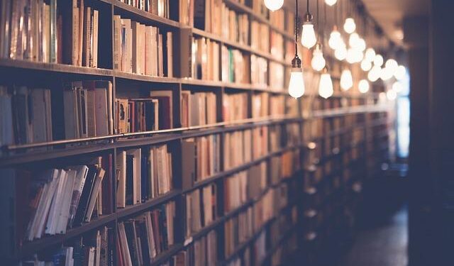 Arizona’s Bold Commitment to English-Only Education Amidst Changing Times