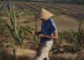 USA Rice Launches Thrilling Trade Mission to Guatemala and El Salvador!