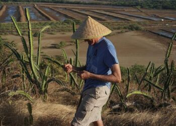 USA Rice Launches Thrilling Trade Mission to Guatemala and El Salvador!
