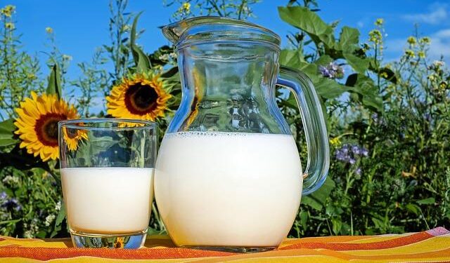 Revolutionizing Argentina’s Dairy Industry: Unlocking Resilience for Maximum Efficiency and Optimization